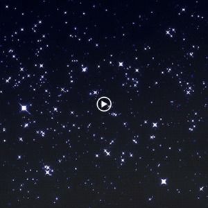 Meet your Posher, Jessenia